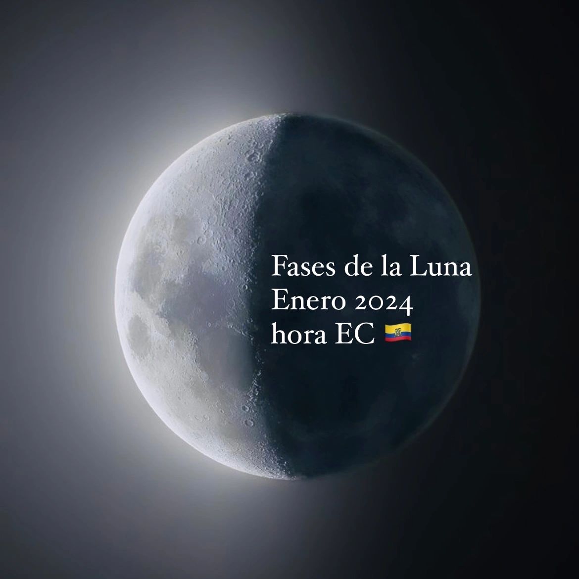 Fases de la Luna • Enero 2024