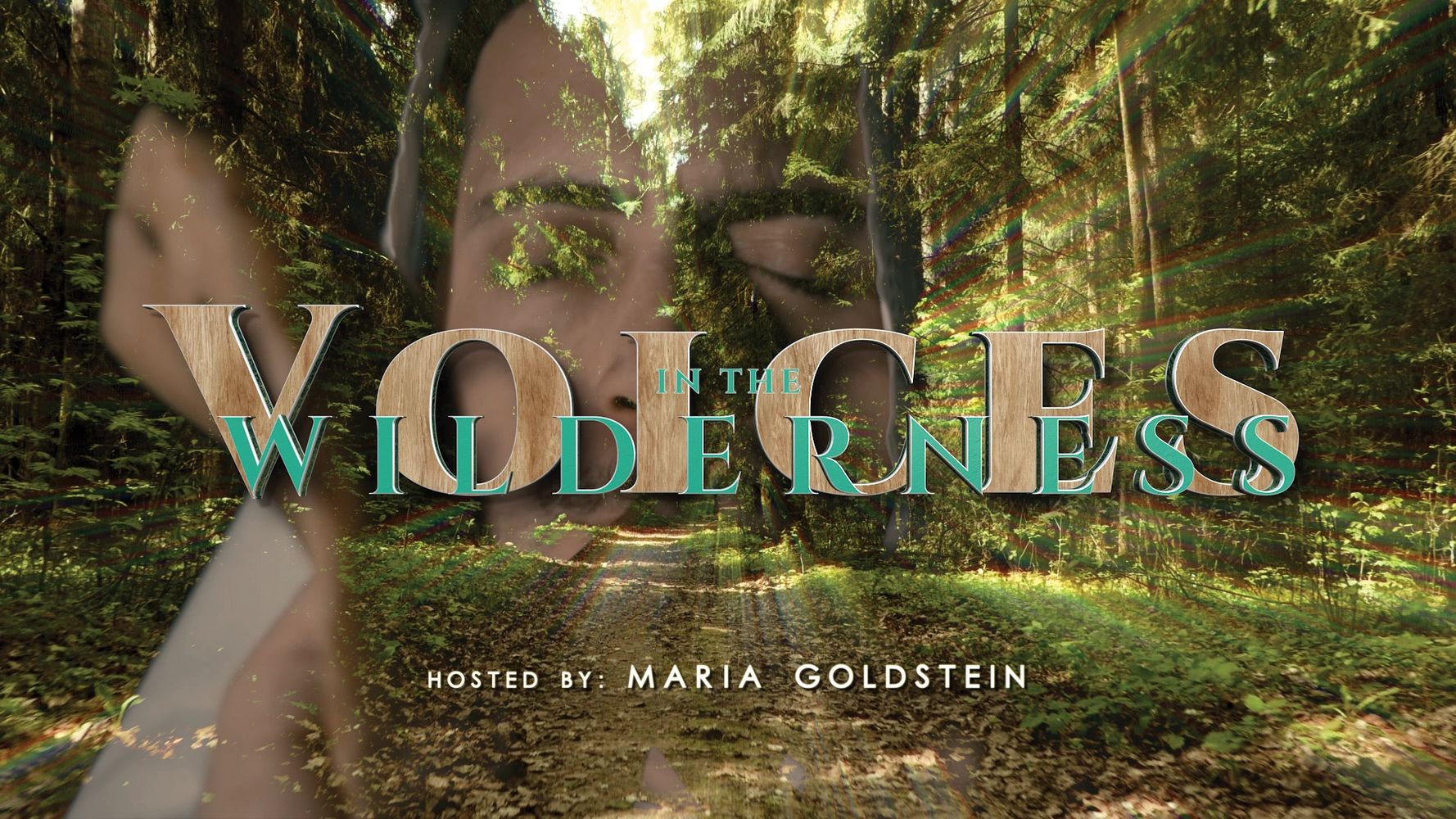 voices in the wilderness logo