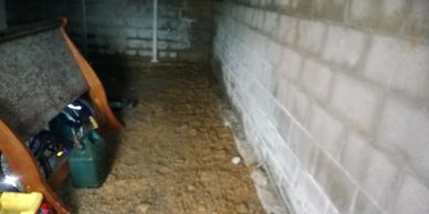 Crawl space cleaning