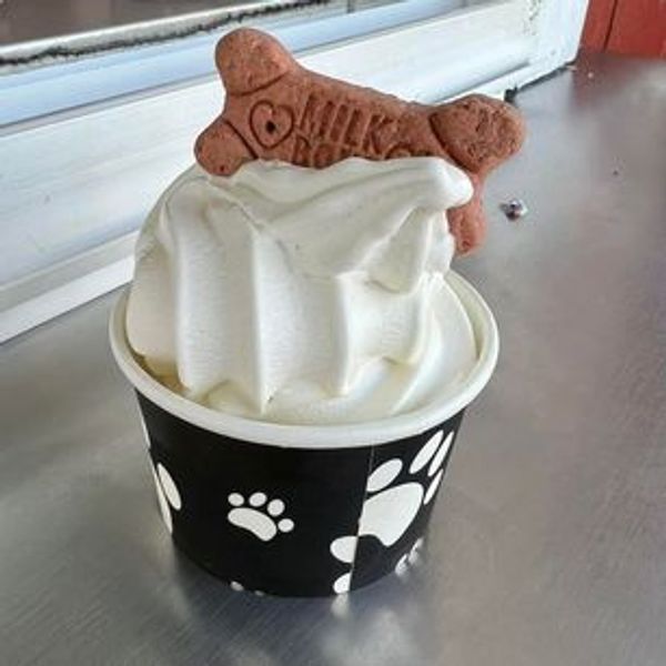Soft serve ice cream with a Milk-Bone dog biscuit in a paw-printed cup.