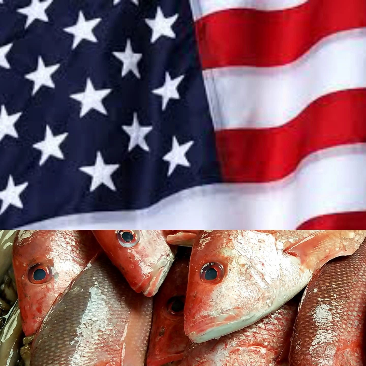 Navarre Seafood Market