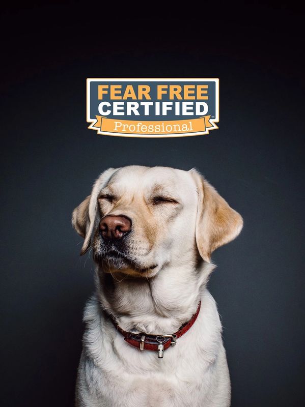 Fear Free Certified Professional badge above a proud Labrador