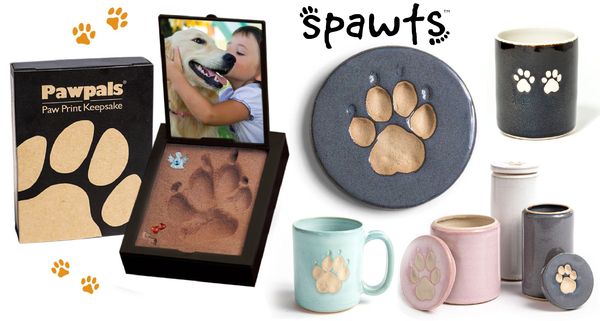 Pawpals foam paw impression kits, next to a display of Spawts ceramic paw impression keepsakes
