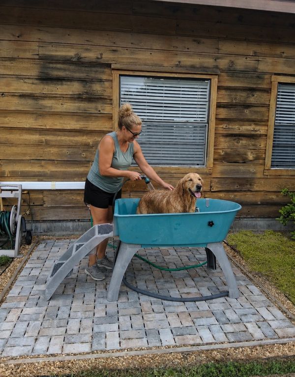 An owner washing her pet at the dog wash station