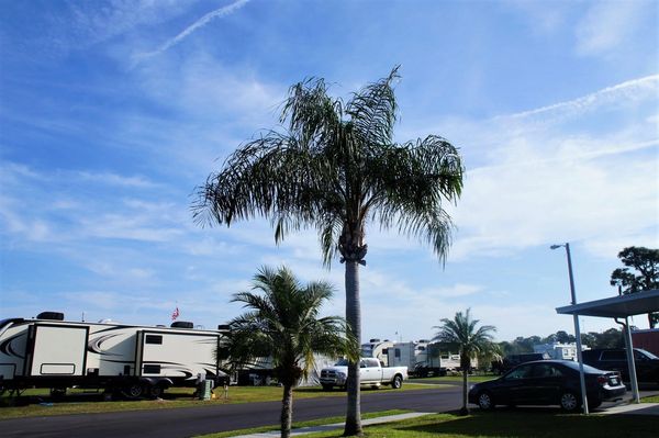 neighborhood street scene in RV park