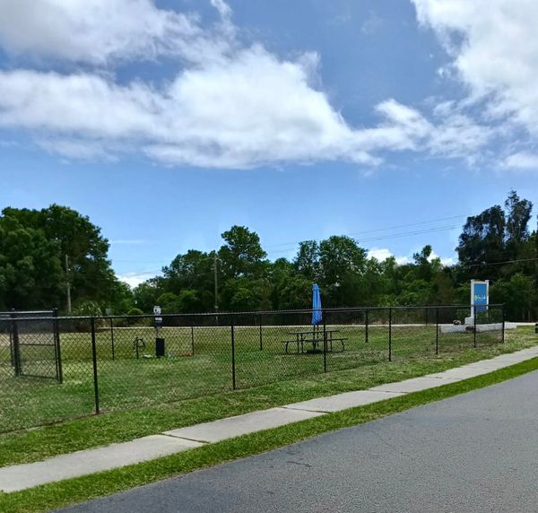 a dog run 