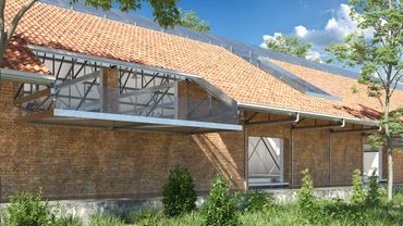 Busqueda Proyectual, Remodelacion de Museo Biomas Arquitectura