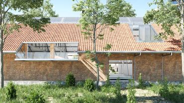 Busqueda Proyectual, Remodelacion de Museo Biomas Arquitectura