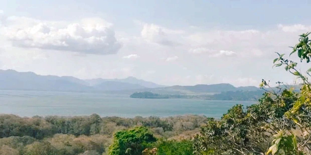 Marcala La Paz " Mark of Peace". Mountain side, Honduras. Source: Guacamaya Coffee