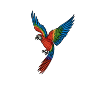 Guacamaya Coffee