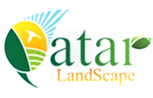 Qatar Landscape
