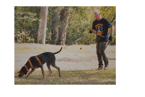 Man walking his dog outdoors in a sunny park.