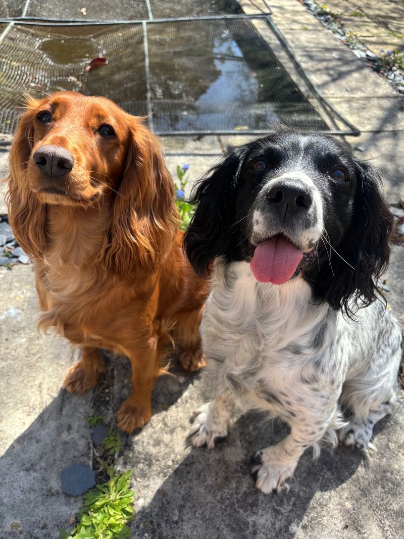 Jessie & Ellie ("Jelly")