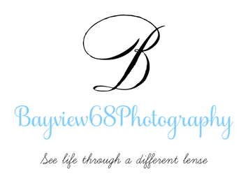 Bayview68
Photography
LLC.