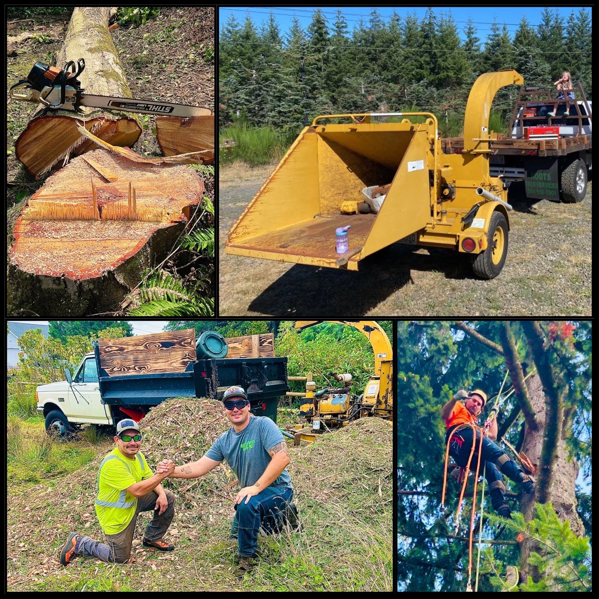 Roots Tree & Property Services L.L.C