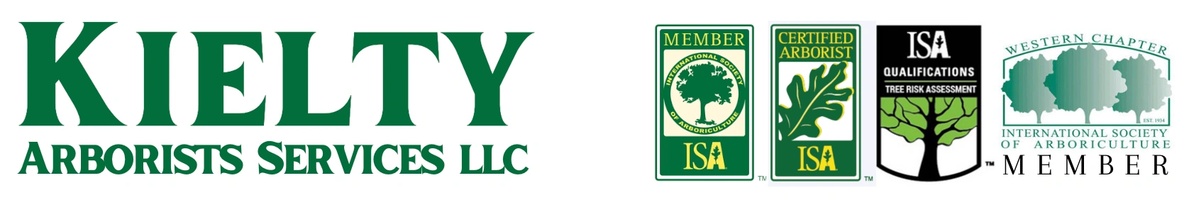Kielty Website