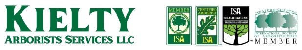Kielty Website