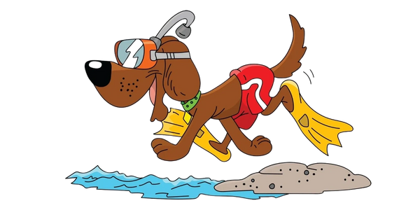 Dog scuba diving