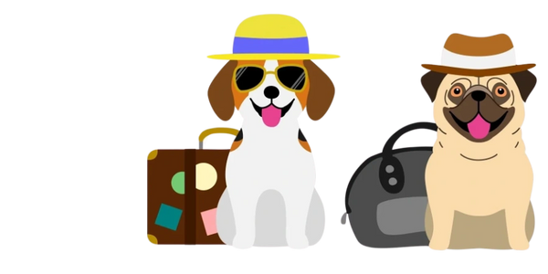 dogs leisure