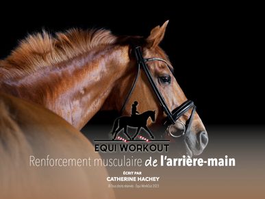 Equi Workout - Préparation & conditionnement physique du cheval