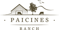 Logo of Palchines Ranch with a mountain and cowboy on horseback.