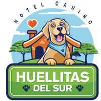 HUELLITAS DEL SUR