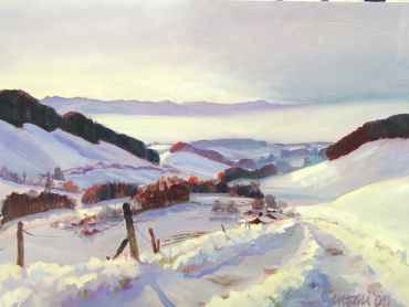 Looking down at the fog over the Lake of Zurich.