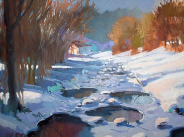 A frozen winter stream.