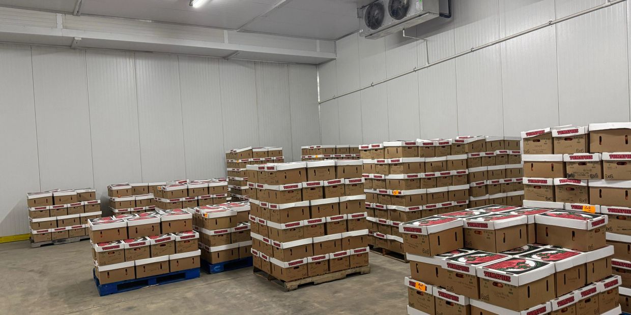 Stacks of cardboard boxes on pallets in a warehouse storage area.