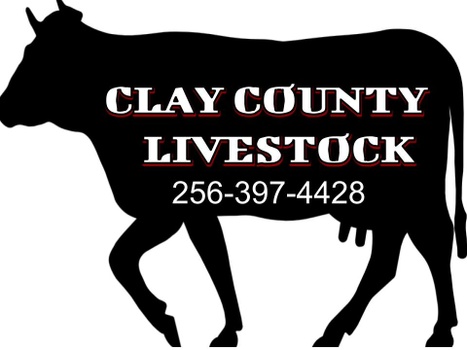 Clay County Stockyard