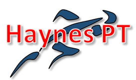 Haynes PT Workshops
