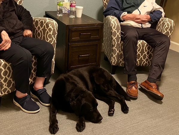 Black dog sleeping on the floor between two seated people.