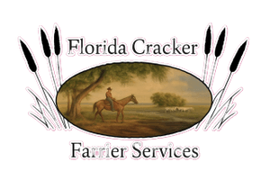 Florida Cracker Farrier Services
