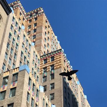 Bird flying next to Art Deco building
