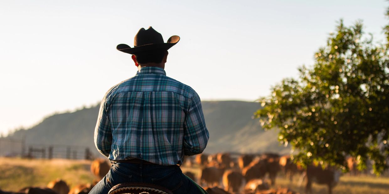 Man on his horse on his ranch with cows in the background.