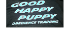 Good Happy Puppy Dog training and boarding