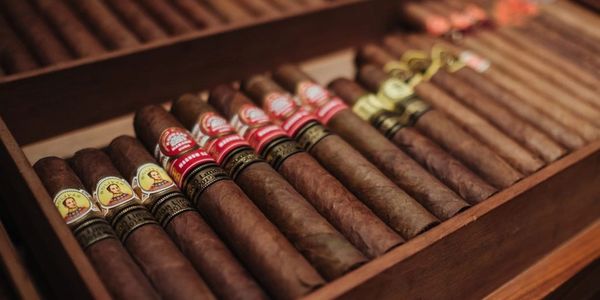 Wholesale cigars