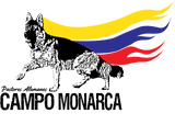 Campo Monarca