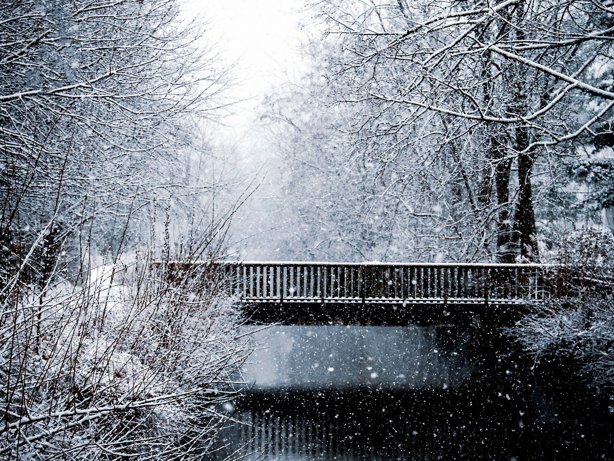 Snow-covered trees and a wooden bridge over a calm river in winter.