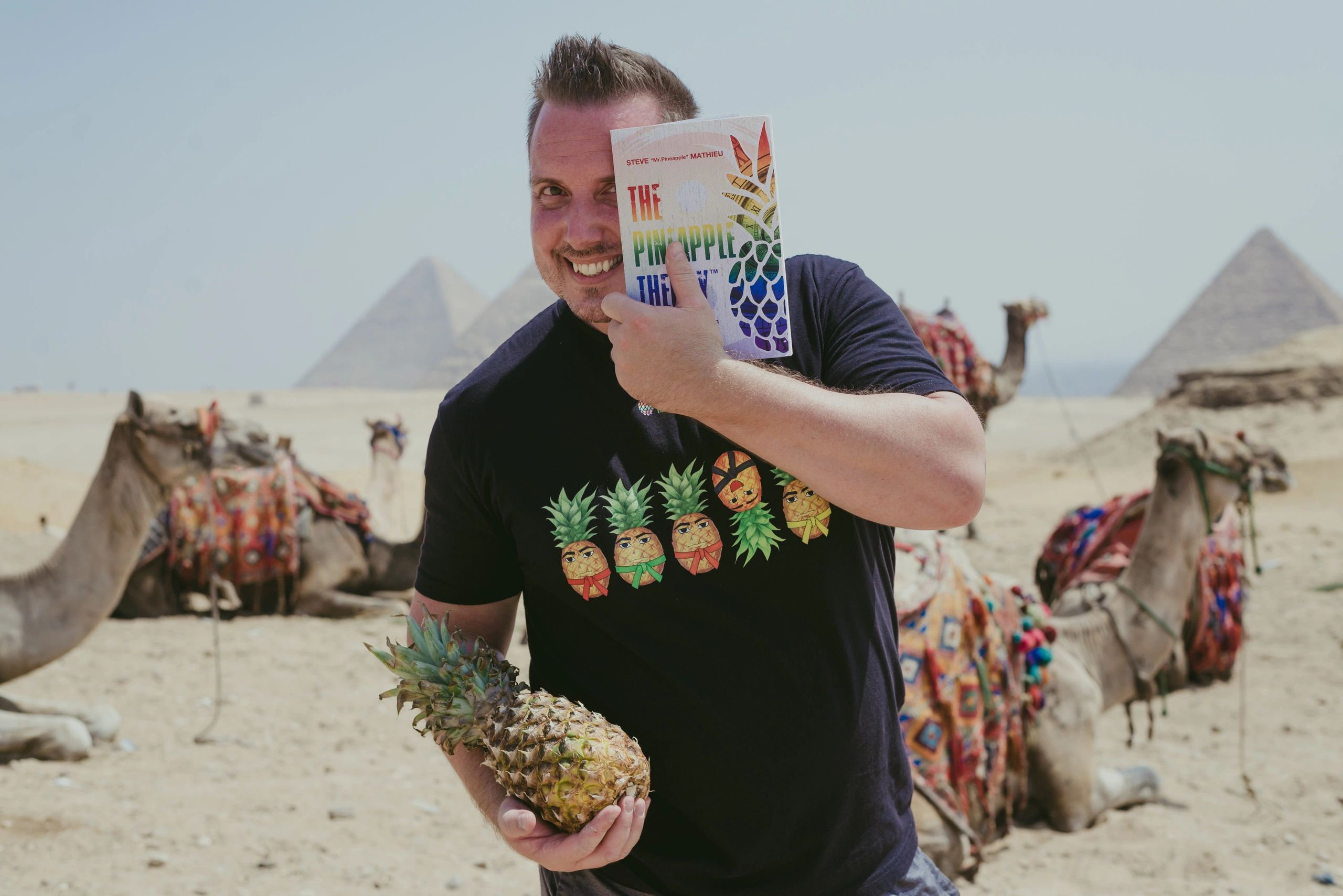 The Pineapple Theory - Pineapple Book, Book, Self-Help