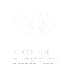 Resilient Pathways Therapy