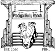 Prodigal Bully Ranch