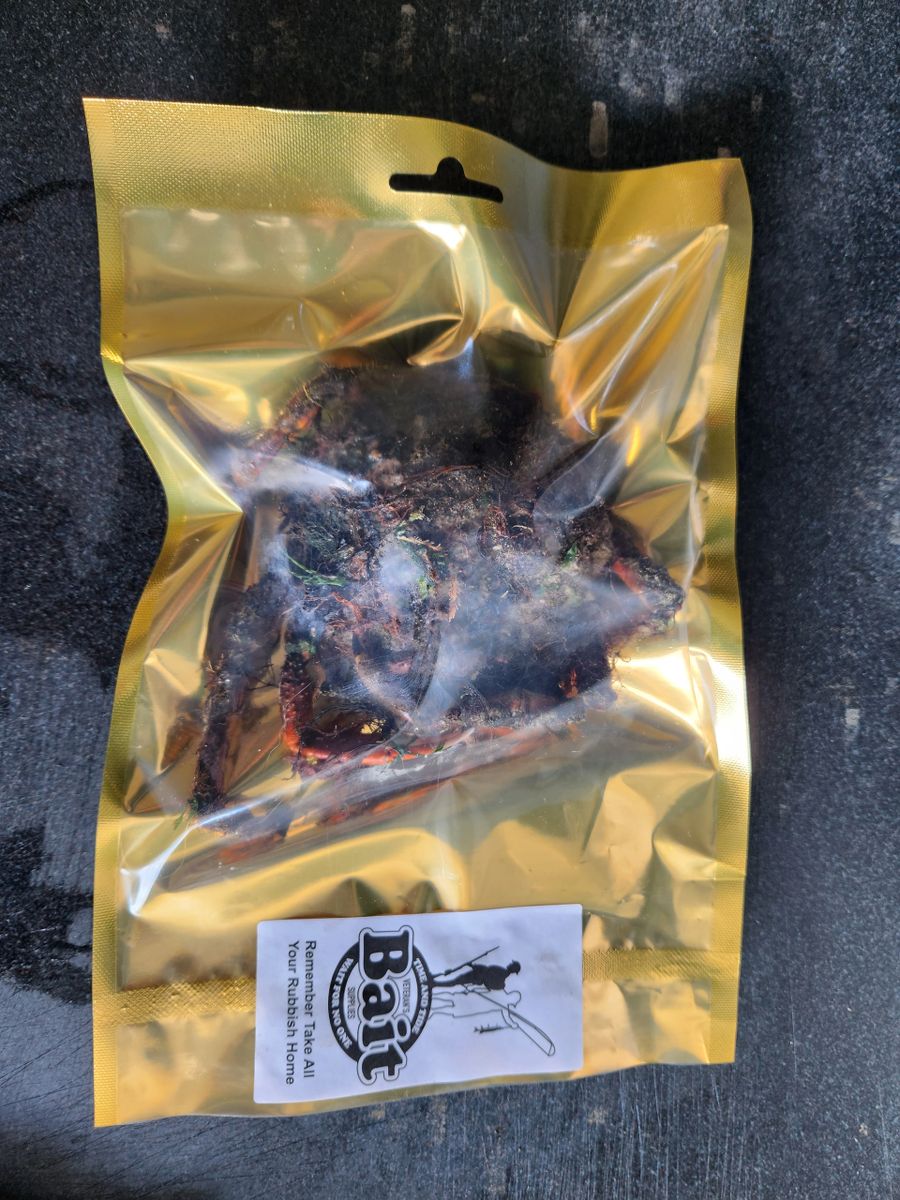 Peeler Crab (Spider Crab)