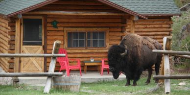 CREEKSIDE LODGE YELLOWSTONE