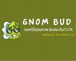 Gnom bud จำหน่ายกัญชา100%