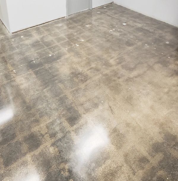 pictures of polished concrete floors,