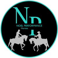 Noel Performance Horses