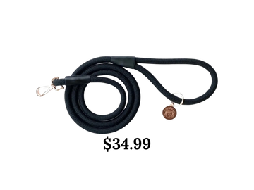 Doggie Republic Black 5 foot dog leash. 