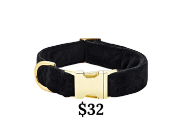 The Foggy Dog Black velvet dog collar.