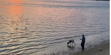 Man and dog walking on beach at sunset.